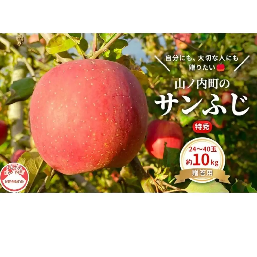 りんご サンふじ 特秀 10kg りんご