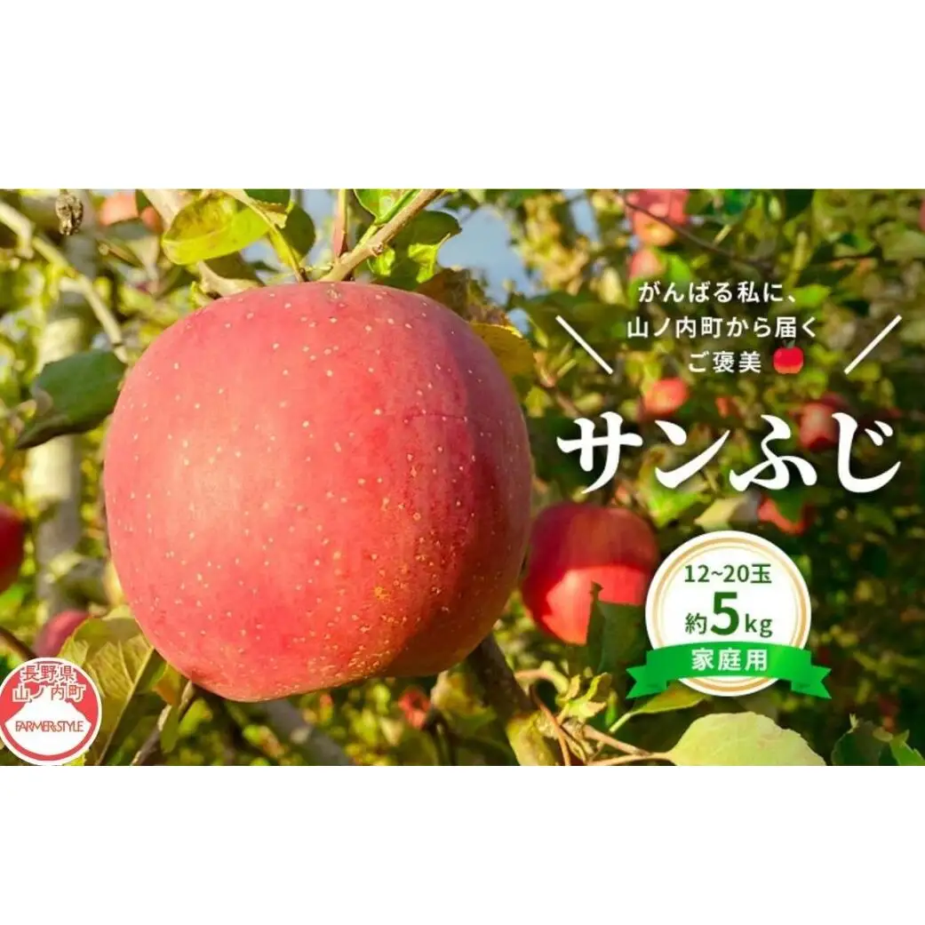 りんご 私のサンふじ 家庭用 5kg りんご
