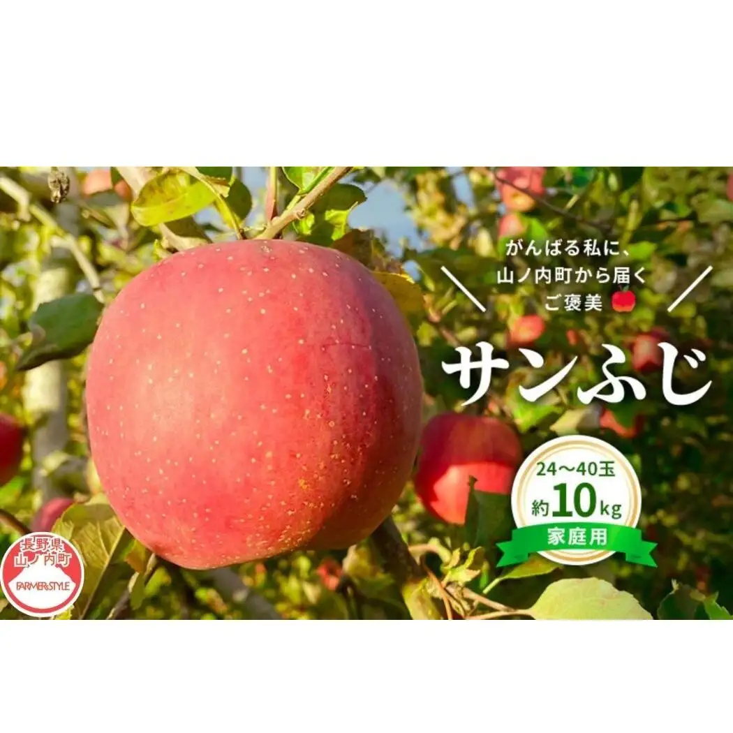 りんご 私のサンふじ 家庭用 10kg りんご