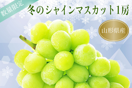 【2026年発送】冬の山形県産低温貯蔵シャインマスカット1房（約600～650g）_H067(R8)