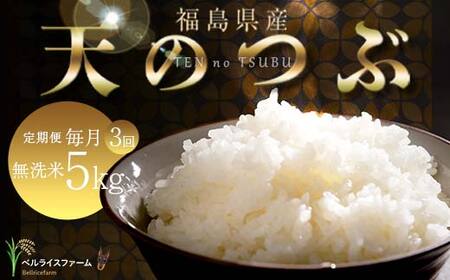 【お米の定期便 2026年6月より毎月3か月配送】農家直送 天のつぶ 無洗米 5kg 全3回 F6U-190