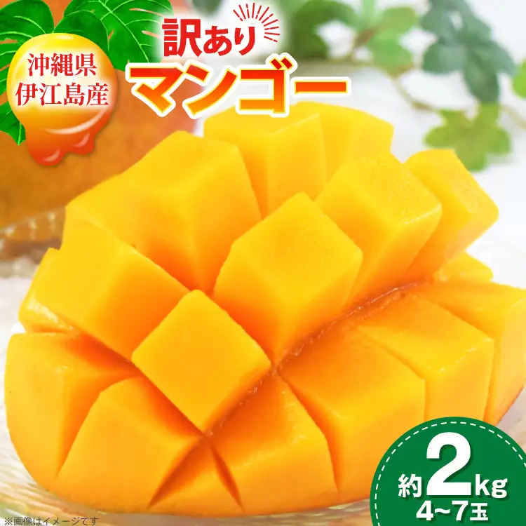 【2027年発送】 訳あり マンゴー  アーウィン種 約 2kg (4〜7玉) 