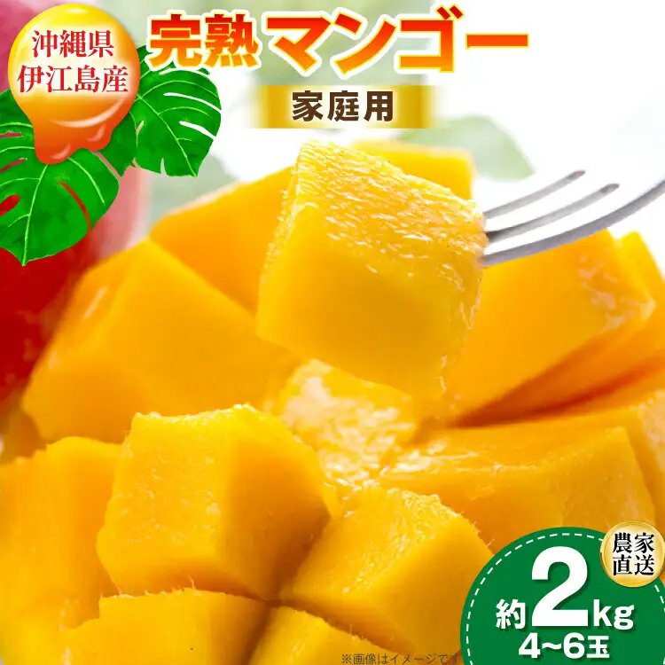 【2027年発送】 マンゴー 完熟 家庭用  アーウィン種 約 2kg (4〜6玉)