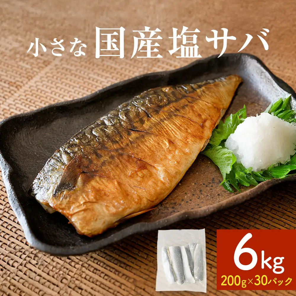 小さな 国産 塩サバ 6kg  ( 200g × 30パック ) 冷凍 サバ 鯖 魚 青魚 塩さば 切り身 ご家庭用 焼き魚 焼魚 おかず お弁当 焼くだけ 簡単調理 サバ フィレ 鯖フィレ サバフィーレ 切身 宮城県 石巻 石巻市