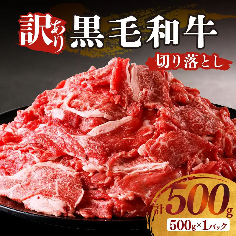 月数量限定≪訳あり≫黒毛和牛切り落とし（計500g） 肉 牛 牛肉 国産_T025-0375