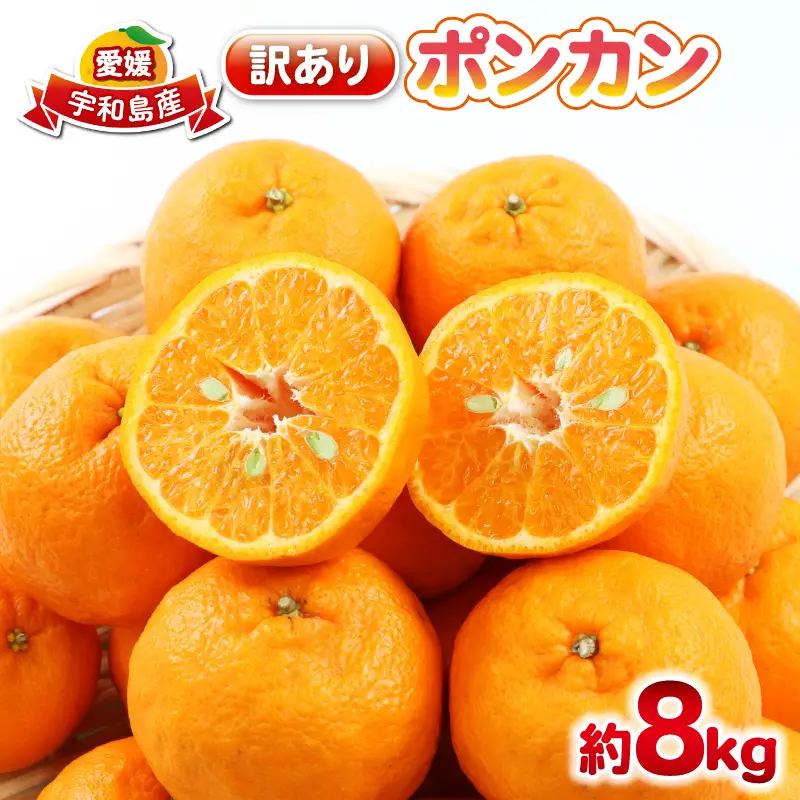 ポンカン 8kg 訳あり ぽんかん 杉本屋 先行予約 B015-143020