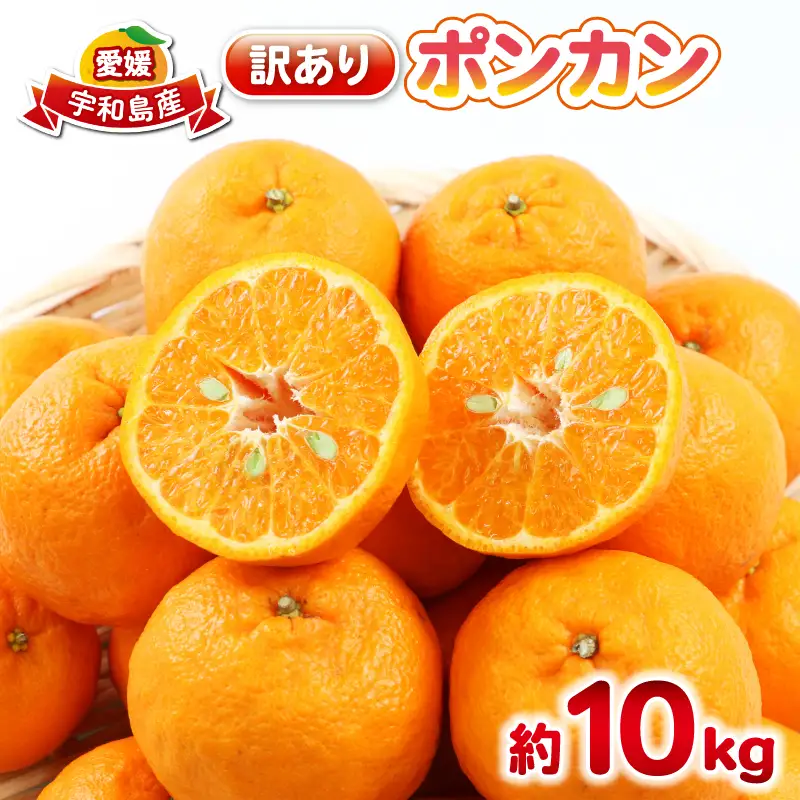 ポンカン 10kg 訳あり ぽんかん 杉本屋 先行予約 B017-143021