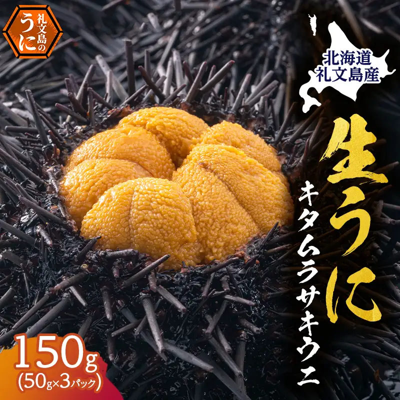 礼文産 キタムラサキウニ 塩水 150g(50g×3) うに