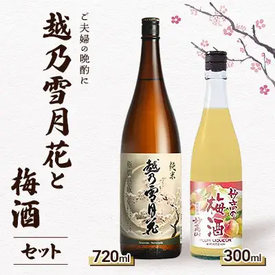 【ご夫婦の晩酌に】越乃雪月花と梅酒のセット 日本酒 梅酒 地酒 おつまみ 南部堂