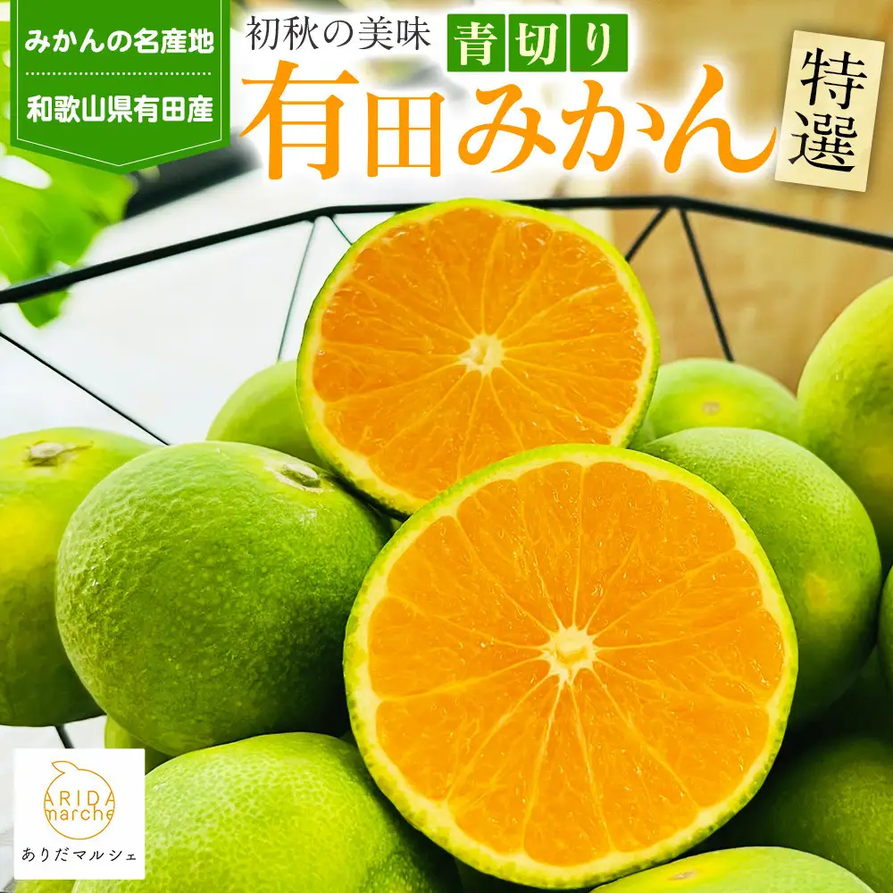 ［先行予約］特選 青切り有田みかん 2kg ［2026年9月中旬より発送］［MS20］