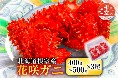 【北海道根室産】花咲ガニ400～500g×3尾 B-11119