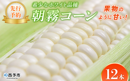 【先行予約】＜朝霧（あさぎり）コーン 12本＞ 国産 雪の妖精 ホワイトコーン 白い 白 とうもろこし 幻のとうもろこし 生で食べられる 甘い 糖度が高い 朝霧コーン 野菜 株式会社ノムランド 愛媛県 西予市【冷蔵】『2026年7月より順次出荷予定』NNM0002