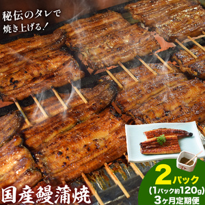 【3ヶ月定期便】鰻 国産鰻蒲焼 2パック 約 120g ×2 有限会社安井家