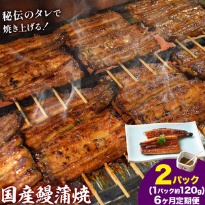 【6ヶ月定期便】鰻 国産鰻蒲焼 2パック 約 120g ×2 有限会社安井家