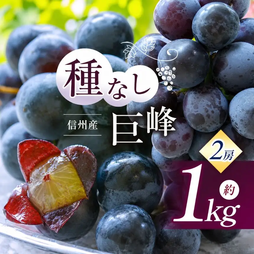 【先行受付】信州産 種無し巨峰 2房 約1kg