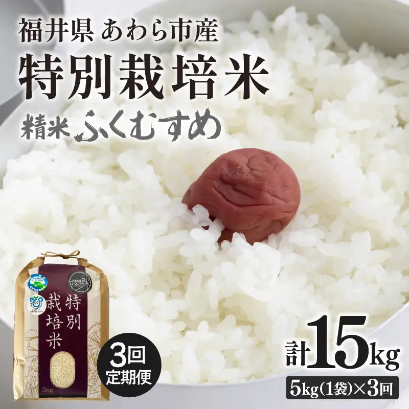 【先行予約】【令和8年産】定期便 ≪3ヶ月連続お届け≫ 化学肥料不使用 ふくむすめ 精米 5kg × 3回（合計15kg） / 白米 米 福井県あわら市産 美味しい 特別栽培米 減農薬 安心な米 旨味 甘み もっちり 冷蔵保管米 ※2026年10月上旬以降順次発送 [aw010-c027]