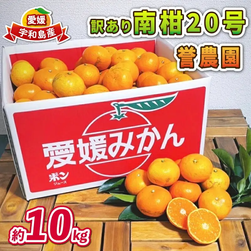 愛媛みかん 訳あり 南柑20号 10kg 誉農園 愛媛みかん B010-138011