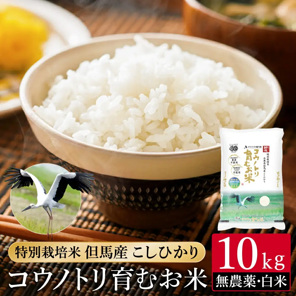 令和7年産 無農薬 白米 10kg コウノトリ育むお米 但馬産 こしひかり 兵庫県産(5kg×2袋)（94-002）無農薬 お米 10キロ 精米 白米 コウノトリ米 コシヒカリ 農薬不使用 特別栽培米 予約 コメ こめ ご飯 ライス 無農薬米