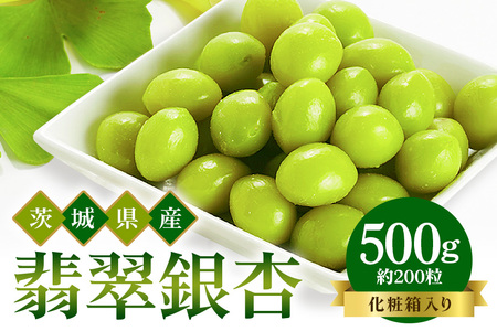 つくば 銀杏 ( ぎんなん ) 蒸し 冷凍 翡翠銀杏 ( ひすいぎんなん ) 500g 農薬不使用 無着色 贈答品 ギフト 高級 旬 食材 食品 国産 冷凍保存 産地直送 送料無料 (A24-002)