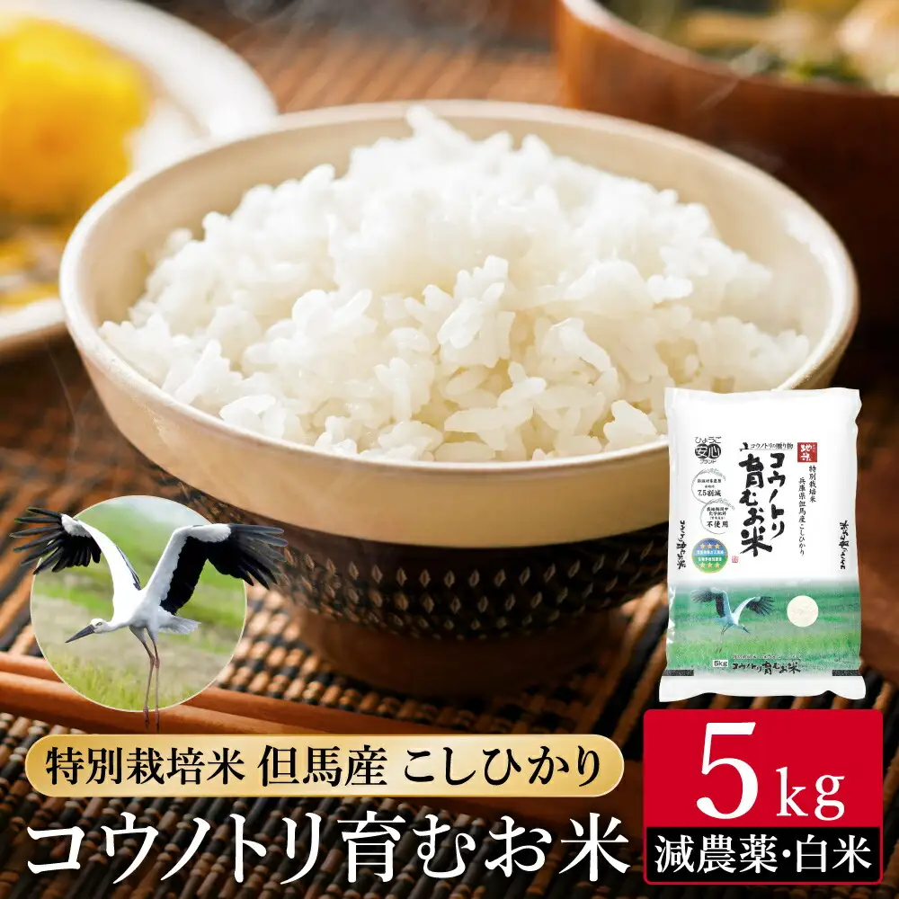 令和7年産 減農薬 白米 特別栽培米 5kg コウノトリ育むお米 但馬産 こしひかり 兵庫県産 (5kg×1袋)（94-004）減農薬 お米 5キロ 精米 白米 コウノトリ米 コシヒカリ コメ こめ ご飯 ライス 減農薬米