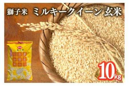 【令和7年産】獅子米 ミルキークイーン 玄米 10kg 岡田ファーム お米 米 おこめ ブランド米 ミルキー 10キロ 国産 単一原料米 コメ こめ ご飯 銘柄米 茨城県産 茨城 産直 産地直送 農家直送 ごはん 家庭用 贈答用 お取り寄せ ギフト 茨城県 石岡市 (B02-007)
