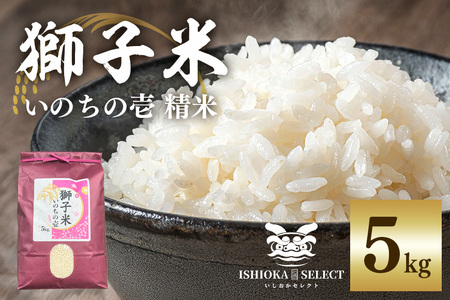 【令和7年産】獅子米 いのちの壱 精米 5kg 岡田ファーム コンテスト受賞米 お米 白米 米 おこめ ブランド米 5キロ 国産 単一原料米 コメ こめ ご飯 銘柄米 茨城県産 茨城 産直 産地直送 農家直送 ごはん 家庭用 贈答用 ギフト 茨城県 石岡市 (B02-017)