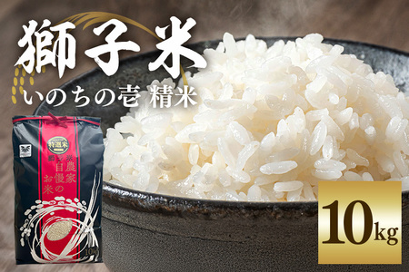 【令和7年産】獅子米 いのちの壱 精米 10kg 岡田ファーム コンテスト受賞米 お米 白米 米 おこめ ブランド米 10キロ 国産 単一原料米 コメ こめ ご飯 銘柄米 茨城県産 茨城 産直 産地直送 農家直送 ごはん 家庭用 贈答用 お取り寄せ 茨城県 石岡市 (B02-018)