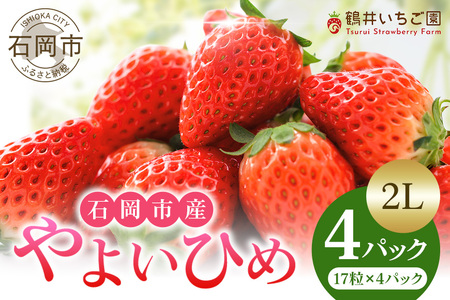 【2026年先行予約】やよいひめ 2L いちご イチゴ 苺 17粒 4パック 1kg 以上 国産 果物 フルーツ くだもの 1月 2月 3月 発送 冬 旬 産地直送 農家直送 産直 甘い デザート スイーツ 家庭用 贈答 贈答用 茨城 茨城県 石岡市 (A13-006)