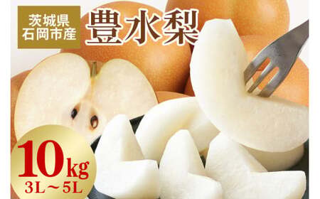 【 2025年 先行予約 】 豊水梨 3L～5L （二段 10kg ）梨 約 20玉 ～ 28玉 品種 幸水 なし ナシ 果物 フルーツ 大玉 5L 4L 3L サイズ 10キロ 8月 発送 夏 旬 産地直送 農家直送 産直 国産 くだもの 甘い 酸味 茨城県産 茨城県 石岡市 (A15-003)