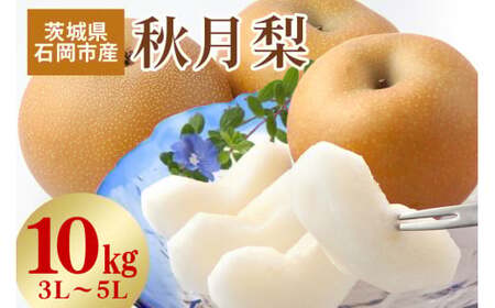 【 2025年 先行予約 】 秋月梨 3L～5L（二段10kg）梨 約 20玉 ～ 28玉 品種 秋月 あきづき なし ナシ 果物 フルーツ 大玉 3L 4L 5L サイズ 10キロ 9月 10月 発送 秋 旬 産地直送 農家直送 産直 国産 くだもの 甘い 茨城県産 茨城県 石岡市 送料無料 (A15-004)