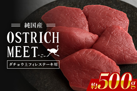 ダチョウ 上フィレ肉 ステーキ用 500g ダチョウ肉 赤身肉 ヘルシー 低脂肪 低カロリー 高たんぱく質 鉄分 豊富 真空パック 上質 抗生物質不使用 成長ホルモン不使用 国産 ダイエット 健康志向 グルメ ギフト 産地直送 (C05-006)