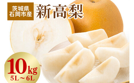 【 2025年 先行予約 】 新高梨 5L～6L（二段10kg）梨 約 16玉 ～ 20玉 品種 新高 にいたか なし ナシ 果物 フルーツ 大玉 6L 5L サイズ 10キロ 9月 10月 発送 秋 旬 産地直送 農家直送 産直 国産 くだもの 甘い 糖度 茨城県産 茨城県 石岡市 (A15-002)