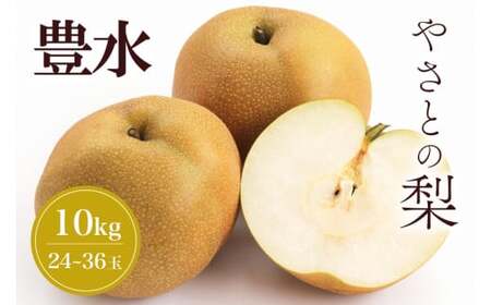【 2025年 先行予約 】 筑波山麓やさとの梨 ( 豊水 ) 10kg ( 24玉 ～ 36玉 ) 梨 なし ナシ 果物 フルーツ 品種 豊水梨 3L 2L L サイズ 10キロ 産地直送 農家直送 産直 国産 くだもの 甘い 酸味 ギフト 贈答用 家庭用 茨城県産 茨城県 石岡市 (A25-004)