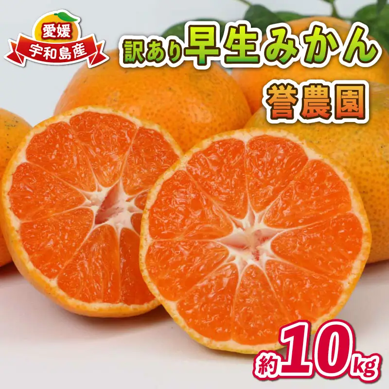 愛媛みかん 訳あり 早生みかん 10kg 誉農園 B010-138010