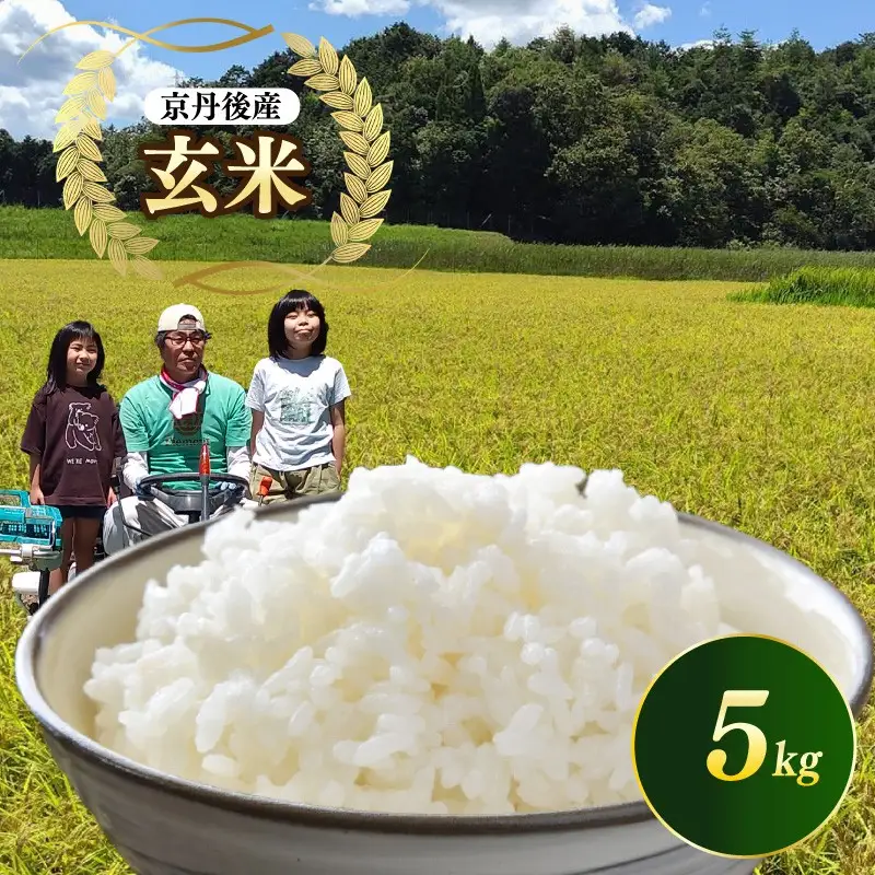 京都 丹後産コシヒカリ（玄米5kg）農家直送 こしひかり