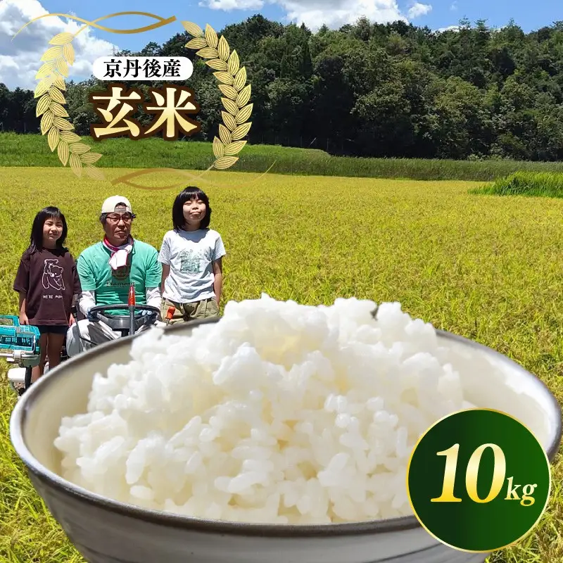 京都 丹後産コシヒカリ（玄米10kg）農家直送 こしひかり