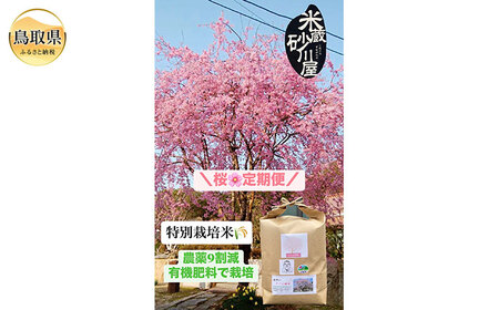  【定期便3回】桜定期便【数量限定】_T2600593