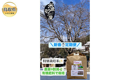  【定期便3回】新春定期便【数量限定】_T2600592