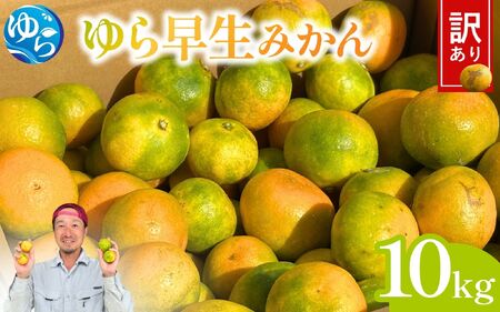＼訳あり／ ゆら早生みかん 10kg / みかん ミカン 和歌山県 柑橘 早生 甘い 蜜柑 フルーツ 果物 くだもの 食品  産地直送 由良町 ご家庭用 ゆら早生 早生みかん ※2026年10月上旬～10月下旬頃に順次発送予定【kwgc003-c-10】