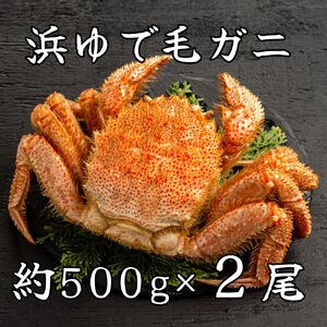 44-37 流氷明け浜ゆで毛ガニ約500g×2尾