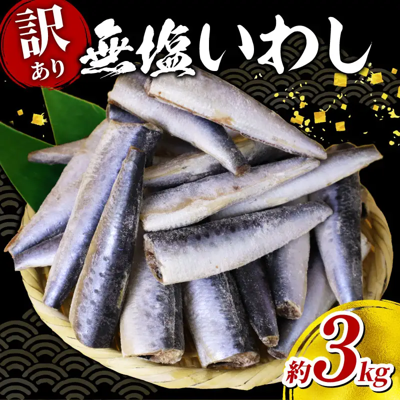 訳あり いわし ドレス 約3kg 無塩 鰯 イワシ
