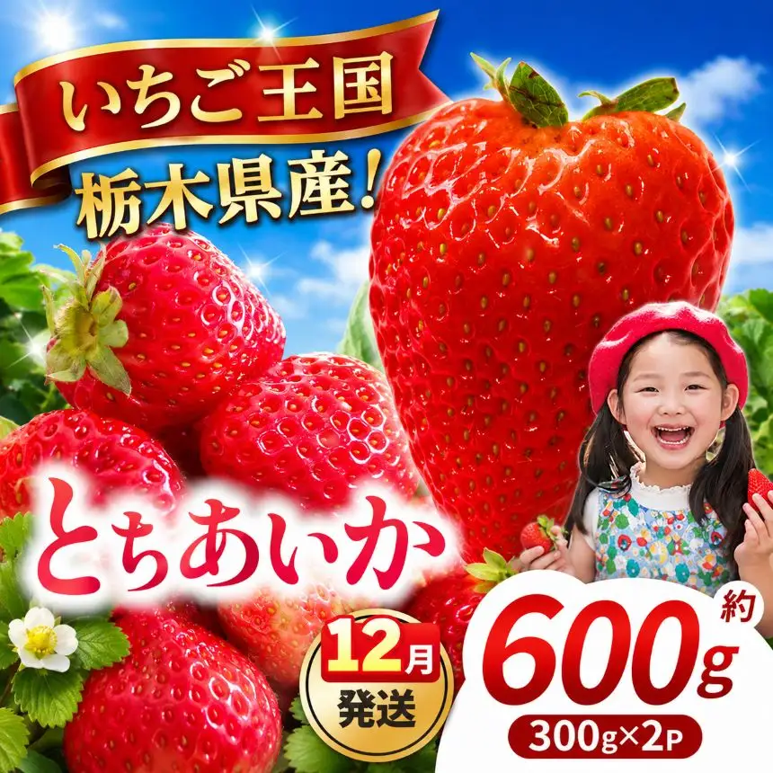 【先行予約】【期間限定】那珂川町産とちあいか 12月発送分 約300g×2 |いちご とちあいか ジューシー フルーティー 大きい 新鮮 甘い 美味しい 果物 共通返礼品 フルーツ デザート 栃木県 那珂川町 送料無料