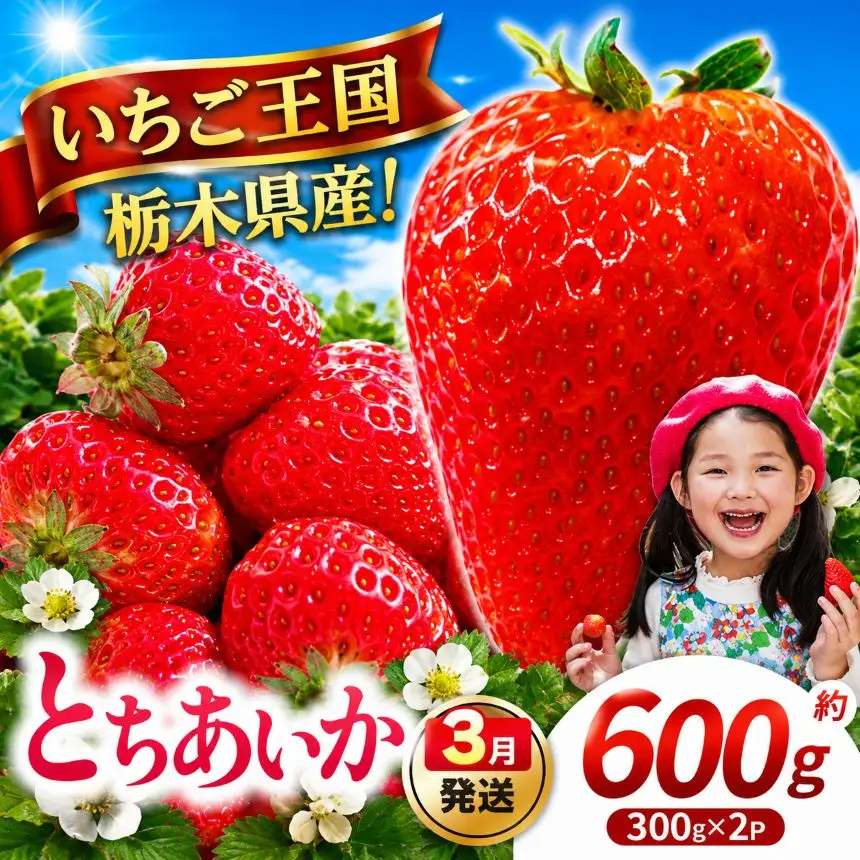 【先行予約】【期間限定】那珂川町産とちあいか 3月発送分 約300g×2 |いちご とちあいか ジューシー フルーティー 大きい 新鮮 甘い 美味しい 果物 共通返礼品 フルーツ デザート 栃木県 那珂川町 送料無料