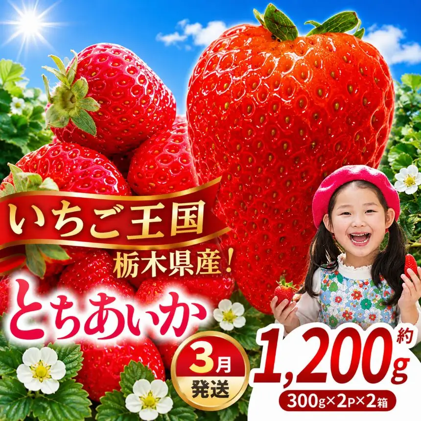 【先行予約】【期間限定】那珂川町産とちあいか 3月発送分 約300g×2×2 |いちご とちあいか ジューシー フルーティー 大きい 新鮮 甘い 美味しい 果物 共通返礼品 フルーツ デザート 栃木県 那珂川町 送料無料