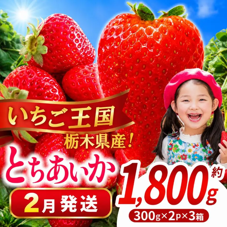 【先行予約】【期間限定】那珂川町産とちあいか 2月発送分 約300g×2×3 | いちご とちあいか ジューシー フルーティー 大きい 新鮮 甘い 美味しい 果物 共通返礼品 フルーツ デザート 栃木県 那珂川町 送料無料