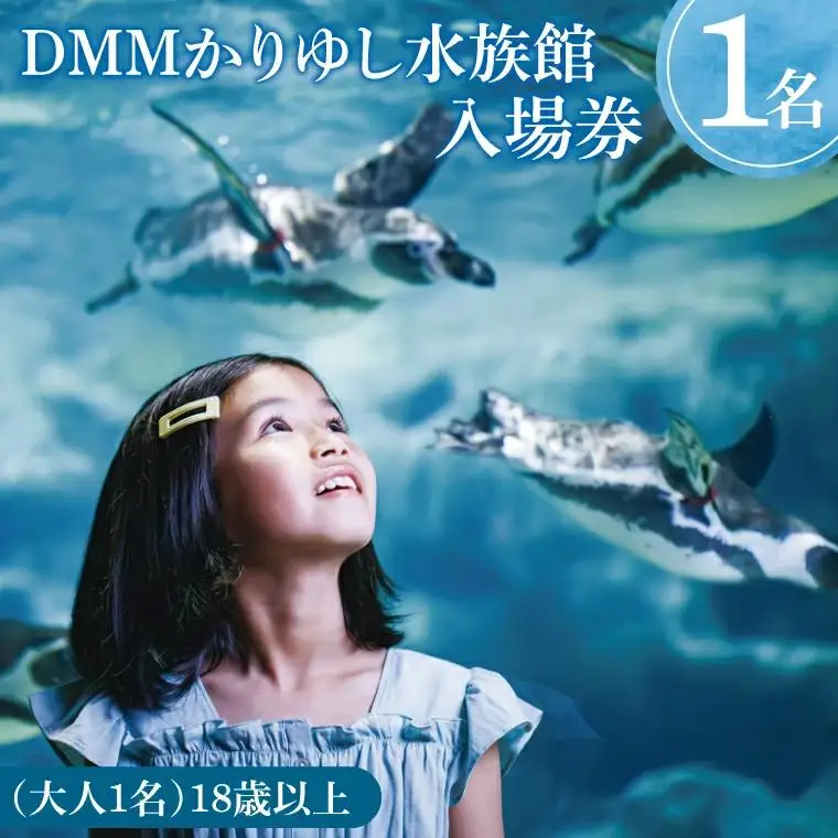 「DMMかりゆし水族館」入場券 大人1名(18歳以上)