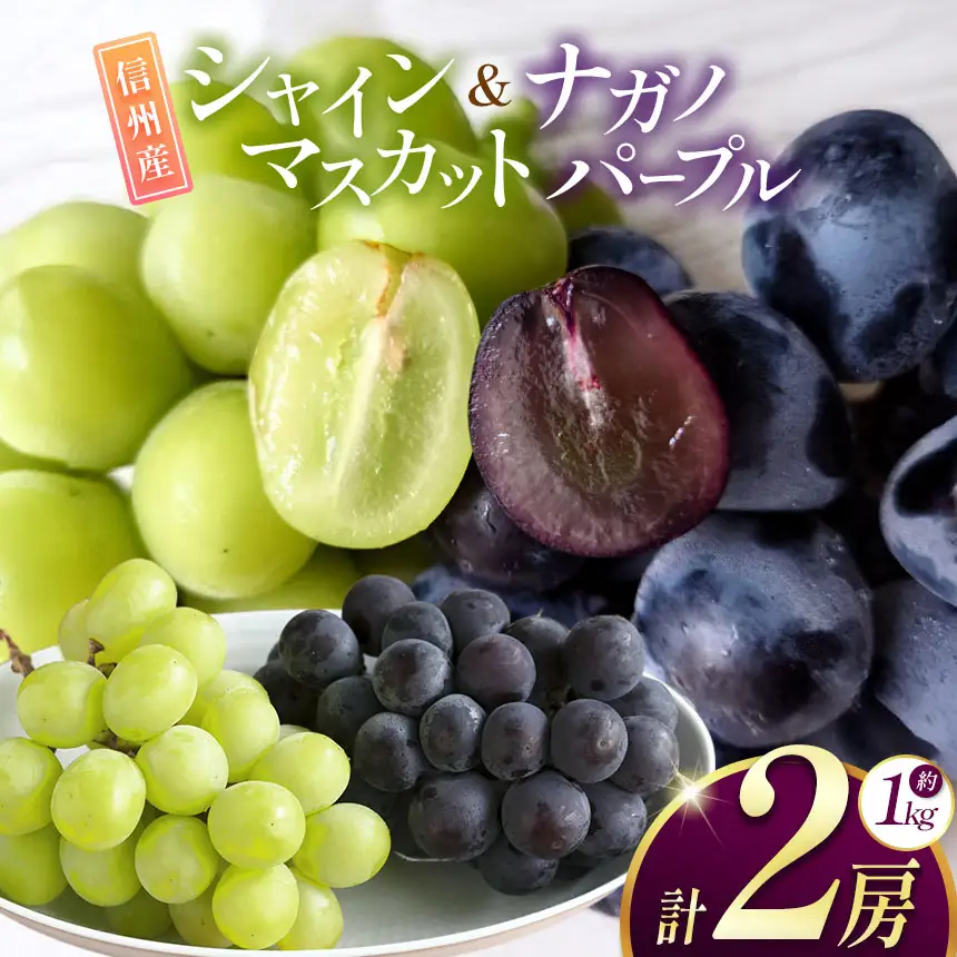 【先行予約】信州産 ナガノパープル、シャインマスカットのセット 約1kg (2房)