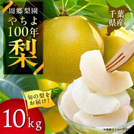 周郷梨園のやちよ100年梨(10kg)【1493889】
