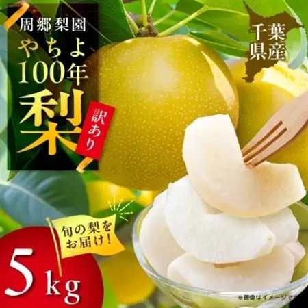 2026年発送先行受付 周郷梨園のやちよ100年梨家庭用(5kg)【1493891】