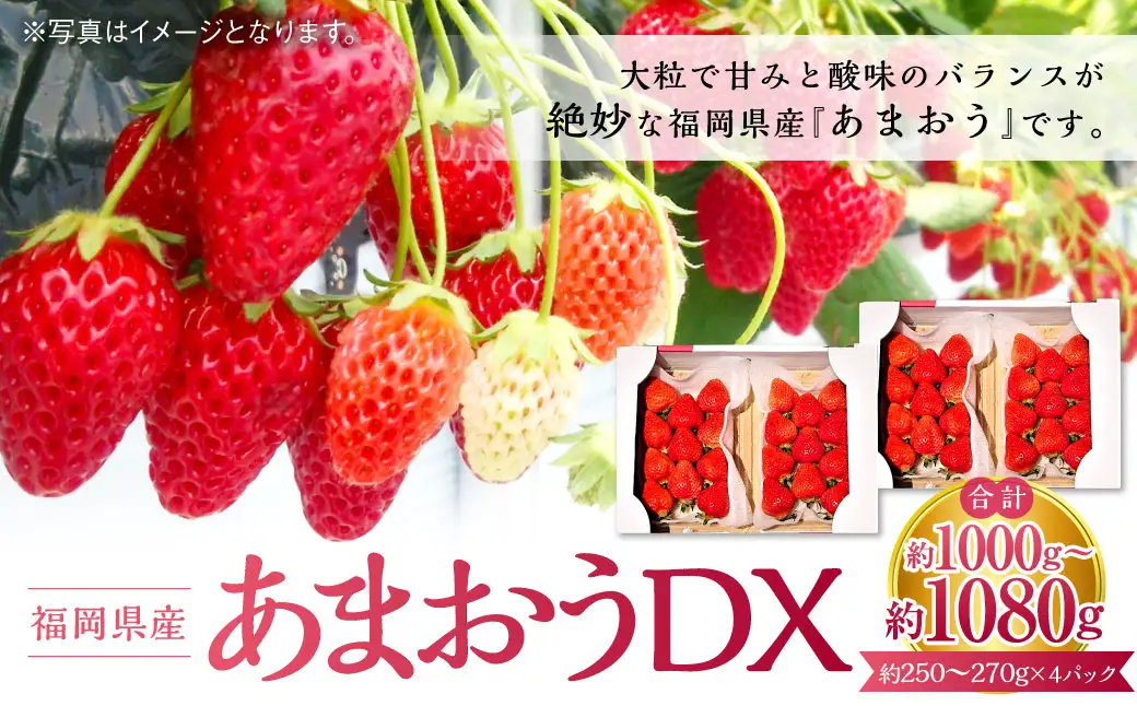 あまおうDX 約250～270g×4パック 合計約1120g デラックス いちご 苺 果物 くだもの フルーツ 【2027年2月上旬～4月下旬発送予定】